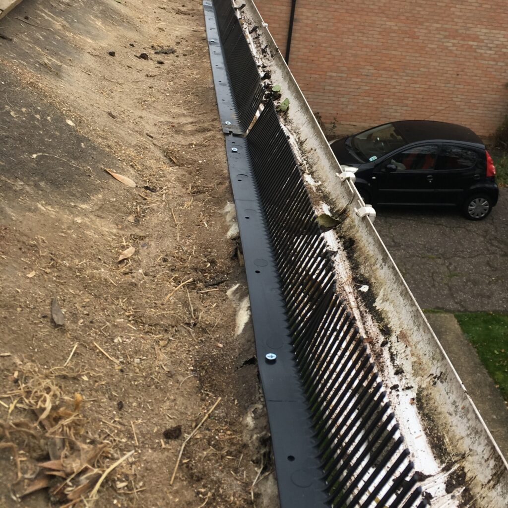 bird proofing chelmsford